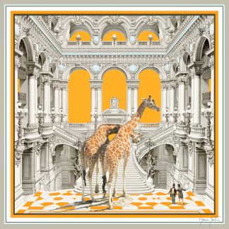 Garnier Naranja | Pochette