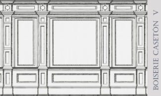 Boiserie Casetón V