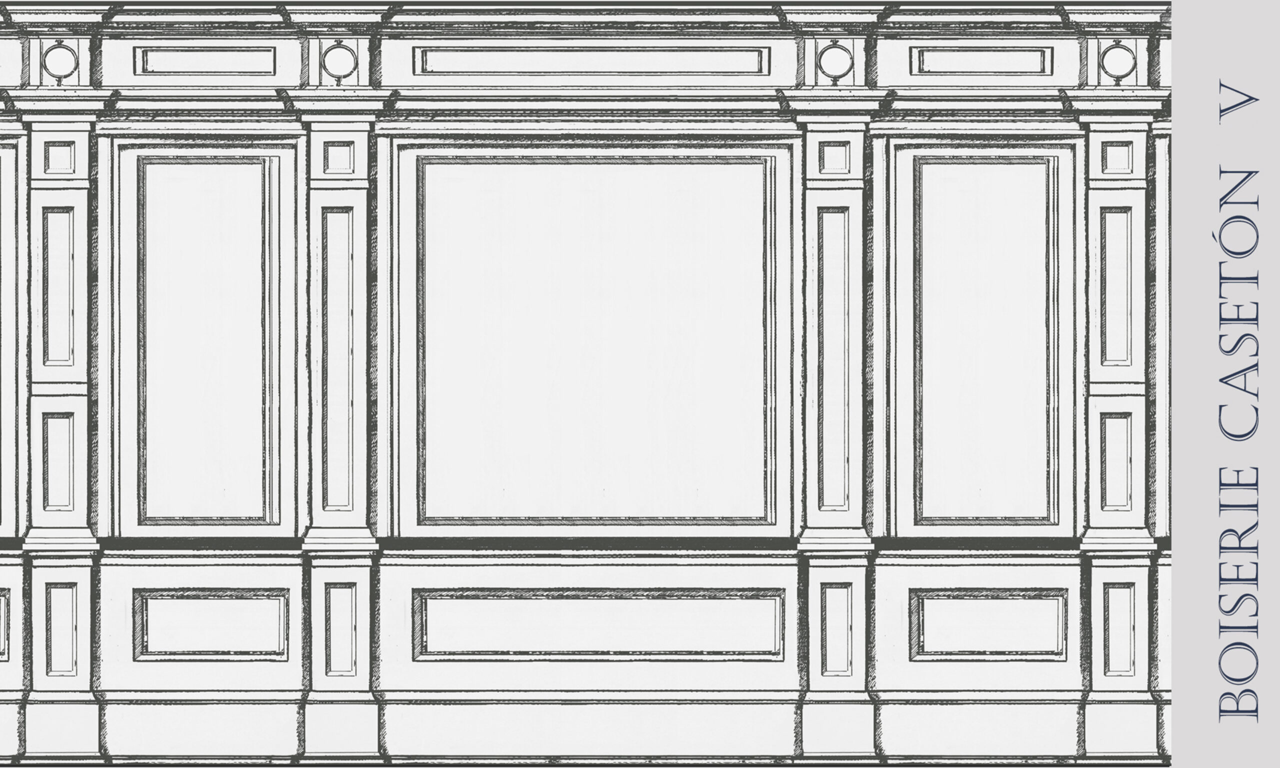 Boiserie Casetón V