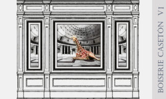 Boiserie casetón VI